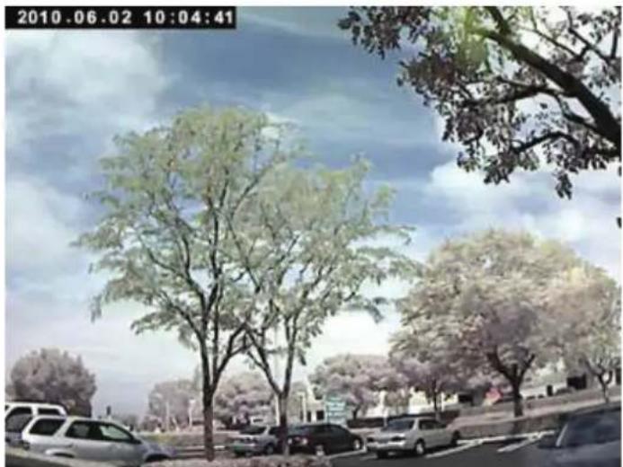 Street scene with trees and parked cars under a cloudy sky (no visible text or symbols)