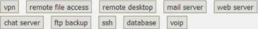 vpn remote file access remote desktop mail server web server chat server ftp backup ssh database voip