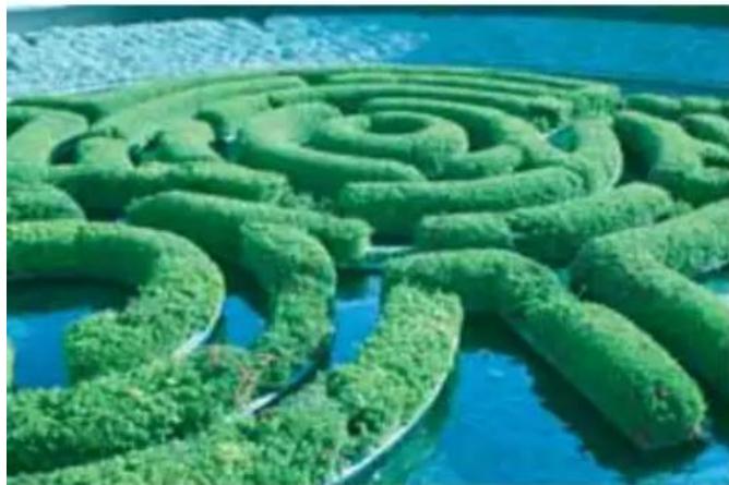 Hoya HMC G Filter 72mm - Verbessert Outdoor-Bilder - 1