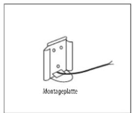 Montageplatte