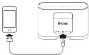 Diagram showing connection between iPhone and iHome device with labeled ports and cable connections