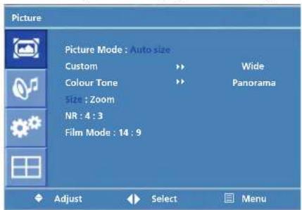 Picture Picture Mode : Auto size Custom >> Wide Colour Tone >> Panorama Size : Zoom NR : 4 : 3 Film Mode : 14 : 9 Adjust Select Menu