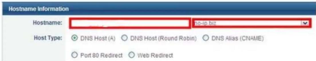 Hostname Information Hostname: no-ip.biz Host Type: DNS Host (A) DNS Host (Round Robin) DNS Alias (CNAME) Port 80 Redirect Web Redirect