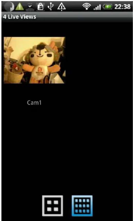 4 Live Views Cam1