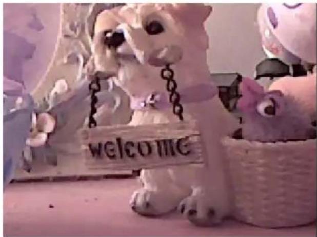 welcome