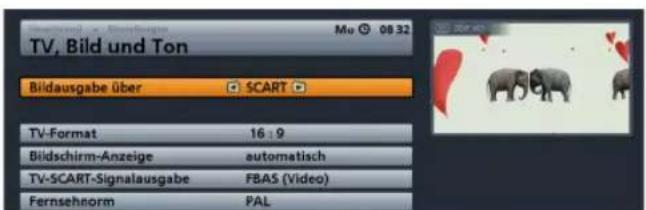 TV, Bild und Ton Bildausgabe über SCART TV-Format 16:9 Bildschirm-Anzeige automatisch TV-SCART-Signalausgabe FBAS (Video) Fernsehnorm PAL