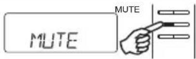 MUTE MUTE