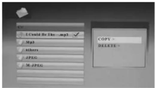 C I Could Be The...mp3 ✓ Mp3 others JPEG M JPEG COPY > DELETE =