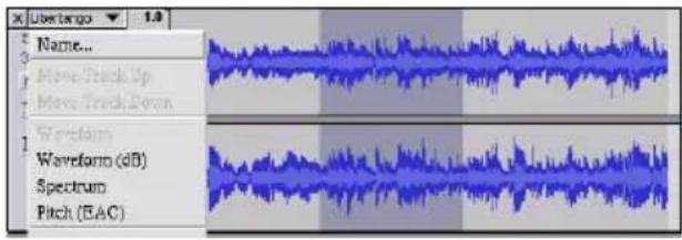Name... Move Track Up Move Track Down Waveform Waveform (dB) Spectrum Pitch (EAC)