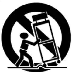 Symbolic icon of a person using a ladder to lift a flag, enclosed in a circle (no text or symbols)