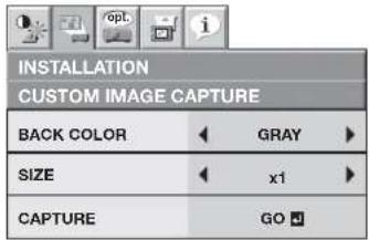 INSTALLATION CUSTOM IMAGE CAPTURE BACK COLOR GRAY SIZE x1 CAPTURE GO