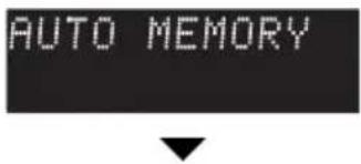 AUTO MEMORY