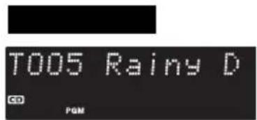 T005 Rainy D CD PGM