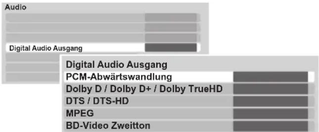 Audio Digital Audio Ausgang Digital Audio Ausgang PCM-Abwärtswandlung Dolby D / Dolby D+ / Dolby TrueHD DTS / DTS-HD MPEG BD-Video Zweitton