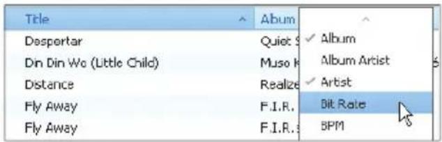 Title Despertar Din Din Wo (Little Child) Distance Fly Away Fly Away Album Quiet S Muso K Realze F.I.R. F.I.R. Album Album Artist Artist Bit Rate BPM