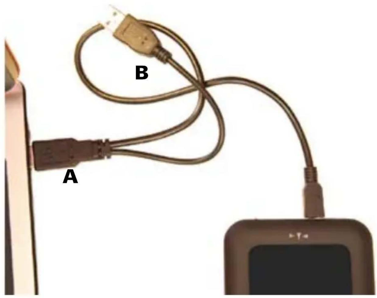 A B