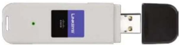 LINKSYS WUSB100 - Chapter 1: Product Overview - 1