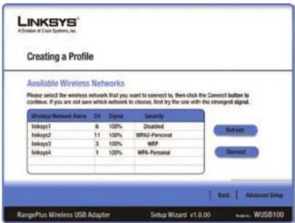 LINKSYS WUSB100 - Advanced Setup - 1