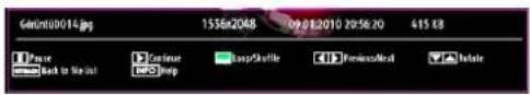 Gndnt00014.jpg 1536x2048 09.01.2010 20:56:20 415 KB Pause Continue Loop/Stroke Previous/Next Update Back to Start Info Help