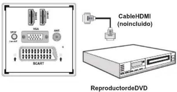 3PDF VGA ANT SCART CableHDMI (noincluido) ReproductordeDVD