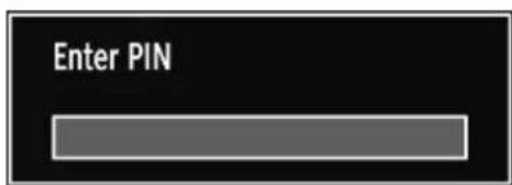 Enter PIN