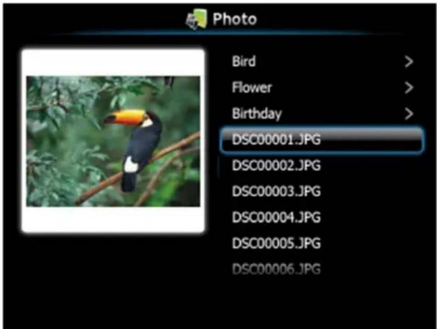 Photo Bird > Flower > Birthday > DSC00001.JPG DSC00002.JPG DSC00003.JPG DSC00004.JPG DSC00005.JPG DSC00006.JPG