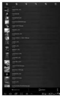 Screenshot of a desktop media player interface showing folder navigation and image thumbnails