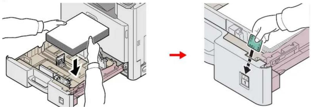 KYOCERA FS-C8525MFP/KL3 - Legen Sie Papier ein. - 1