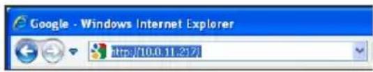 Google - Windows Internet Explorer http://10.0.11.217