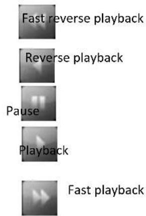 Fast reverse playback Reverse playback Pause Playback Fast playback