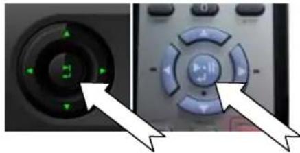 Clover Electronics DV1670D - Play and Pause operaon - 2