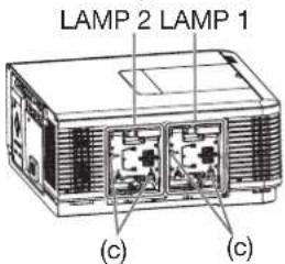LAMP 2 LAMP 1 (c) (c)