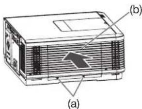 (a) (b)