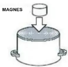 MAGNES