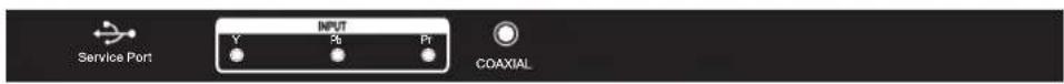 INPUT Y Pt Pr Service Port COAXIAL