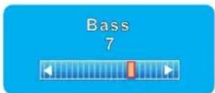 Bass 7