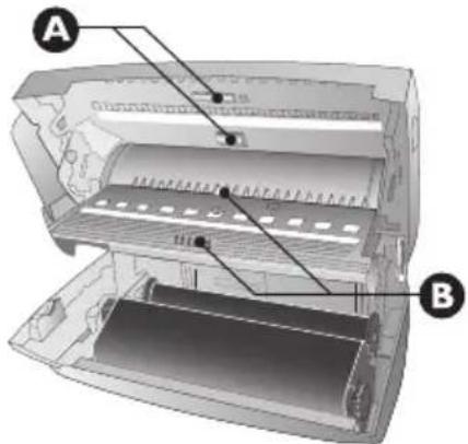 A B