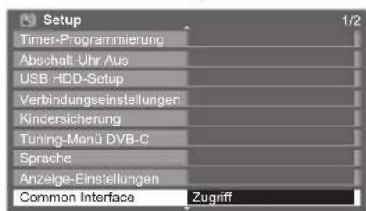 Setup Timer-Programmierung Abschalt-Uhr Aus USB HDD-Setup Verbindungseinstellungen Kindersicherung Tuning-Menü DVB-C Sprache Anzelge-Einstellungen Common Interface Zugriff