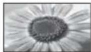 PANASONIC Viera TX-L37ETW5W - [16:9] [4:3 Vollformat] - 2