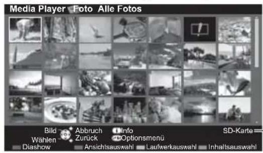Media Player Foto Alle Fotos Bild Abbruch Info SD-Karte Wählen Zurück Optionsmenü Diashow Ansichtsauswahl Laufwerkauswahl Inhaltseuswahl