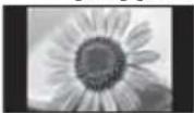 PANASONIC Viera TX-L37ETW5W - [4:3] [Zoom3] - 1