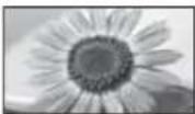 PANASONIC Viera TX-L37ETW5W - [16:9] [4:3 Vollformat] - 1