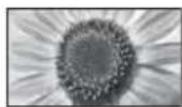 PANASONIC Viera TX-L37ETW5W - [4:3] [Zoom3] - 2