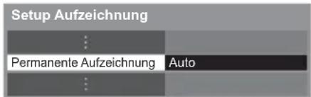 Setup Aufzeichnung ... Permanente Aufzeichnung Auto