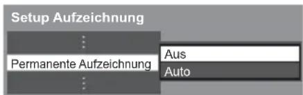 Setup Aufzeichnung ... Permanente Aufzeichnung ... Aus Auto