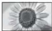 PANASONIC Viera TX-L37ETW5W - [14:9] [Zoom1] - 2