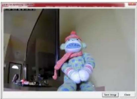 Intellinet IBC-637IR - Live Video Page - 3