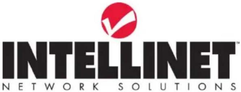 INTELLINET NETWORK SOLUTIONS