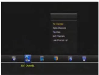 MEGASAT HD Stick 510se - Programme verwalten - 1