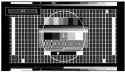NEVIR NVR-7502-24HD-N - 14:9 - 1